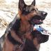Sandra Biagi - Facebook
