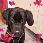 Sandra Bialek - Facebook