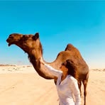 Sandra Biba - Facebook