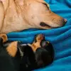 sandy - @sandraschbierbaum - TikTok