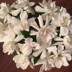Sandra Bierman - @sandra.b.bierman.5 - Instagram