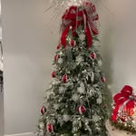 Sandra Bierman - @bierman4938 - Instagram