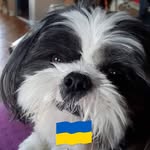 Sandra Bigelow - @chewey2011 - Instagram
