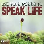 Sandra Bigelow - @sandi.bee - Instagram