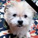 Sandra Bigelow - Facebook