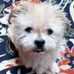 Sandra Bigelow - Facebook
