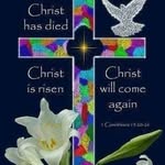 Sandra Biggers - @flstpete1 - Instagram