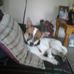 Sandra Biggers - Facebook