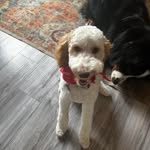 Sandra Biggs - @mommasan55 - Instagram