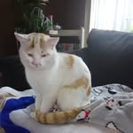 Sandra Biggs - @sandragambill - Instagram
