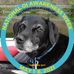 Sandra Bingaman - Facebook