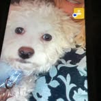 Sandra Bingle - Facebook