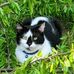 Sandra Binkley - Facebook