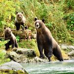 Sandra Birdwell - @busyb_photos - Instagram