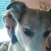sandra birk - @sandrabirk1 - TikTok