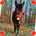 Sandra Birk - @s.a.n.d.r.a_b.i.r.k - Instagram