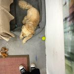 sandra birke - @sandrabirke_indogwetrust - Instagram