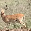 Sandra bisson - @sandra.bisson0 - TikTok