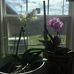 Sandra Sue Biven - Facebook