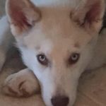 Sandra Bixler - @bixler393 - Instagram