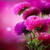Sandra Blakely - Facebook