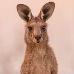 Sandra Blakeman - @sandra.blakman - Instagram