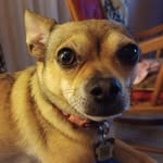 Sandra Blanchard - @sandra.blanchard.1291 - Instagram