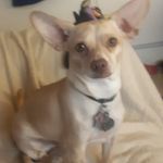 Sandra Blanton - @sandrablanton75 - Instagram
