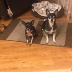 Sandra Blatt - @txyank60 - Instagram