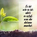 Sandra Blatter-Dietrich - @sandra_blatter_ - Instagram
