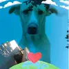 Sandra Grinblatt - @sandragrinblatt - TikTok
