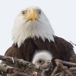 Sandra Blauvelt - @sandra.blauvelt.56 - Instagram