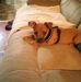 Sandra Bledsoe - Facebook