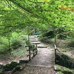 Sandra Bloch - @saendi69 - Instagram