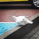Sandra Błoch - @golomb09 - Instagram