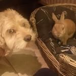 Sandra Blondel - @blondelsandra - Instagram