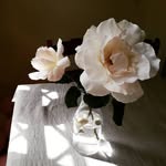 Sandra Rf - @sandrablond.deco - Instagram