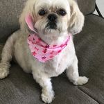 Sandra Bloomfield - @bloomfield929 - Instagram