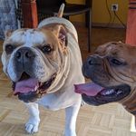 Sandra Bloomfield - @bloomfield9988 - Instagram