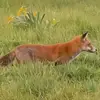 Sandra Blow - @sandra.blow - TikTok