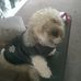 Sandra Blow - Facebook