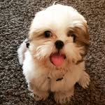 Sandra - @sandra._.blowy - Instagram