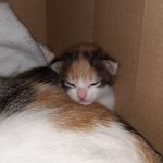 Sandra_blue - @sandra_blue4 - Instagram