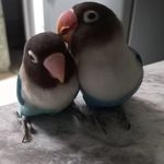 SANDRA&BLUE - @sandra_e_blue - Instagram