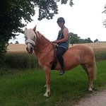 Sandra Bluhm - @sandra199188 - Instagram