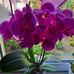Sandra Bluhm - Facebook