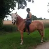Sandra Bluhm - @sandra.bluhm6 - TikTok