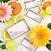 Sandra Boaz, Mary Kay Independent Beauty Consultant - Facebook