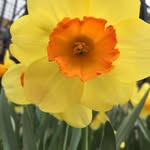 Sandra Bodley - @thespburg - Instagram