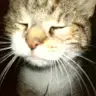 sandra Boger - @sandraboger24 - TikTok